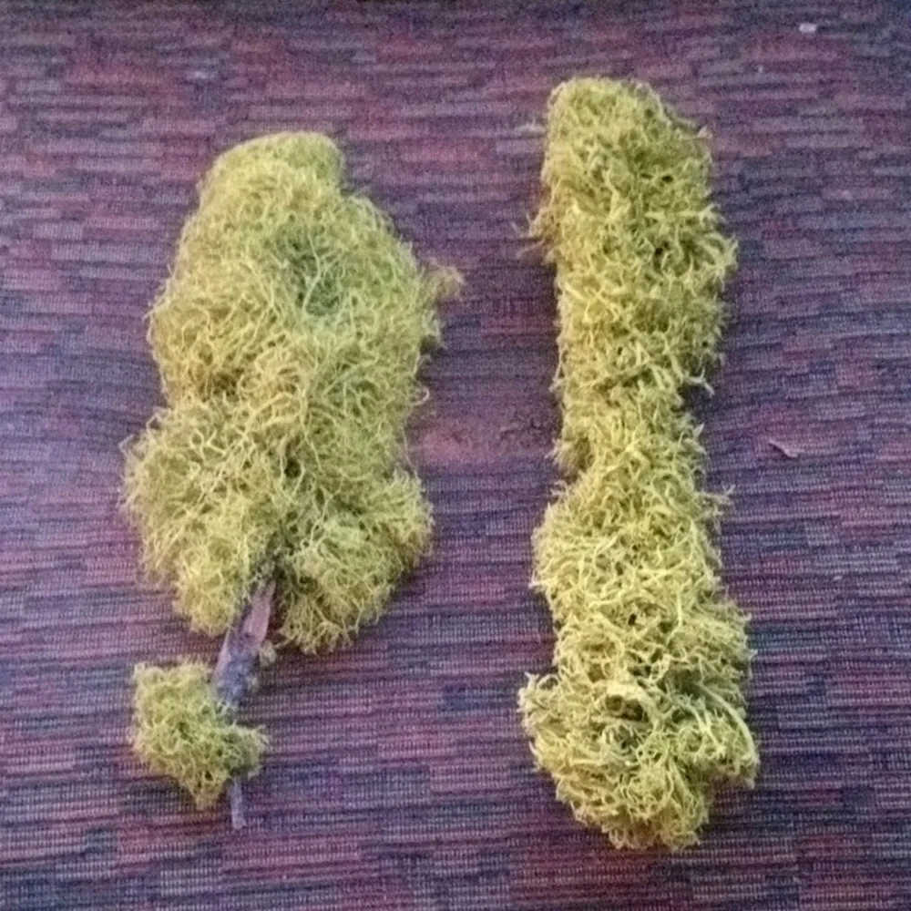 New! Never Used! Moss Branches. 11 Inches Long